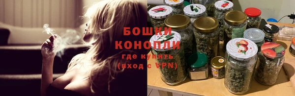 прущая мука Богданович