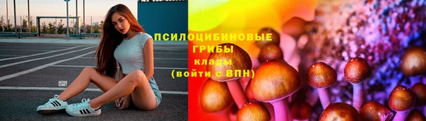 первитин Богородицк