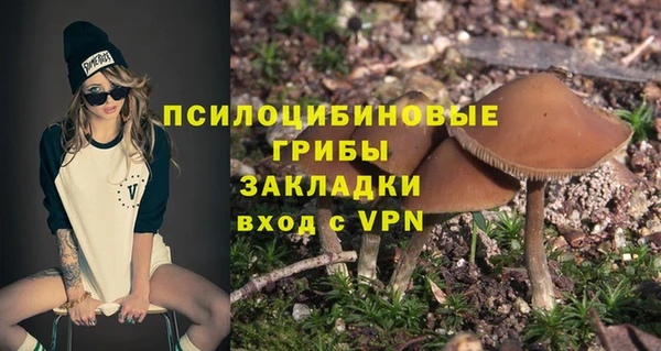 прущая мука Богданович