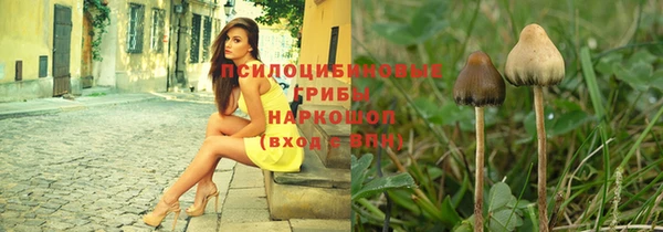 первитин Богородицк