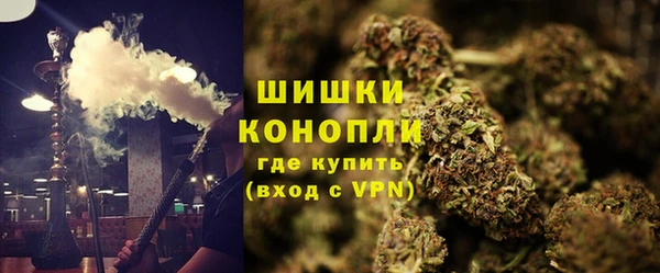 прущая мука Богданович