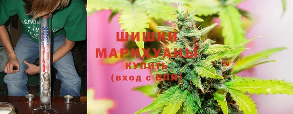 хмурый Богородск
