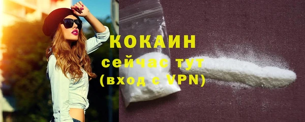 первитин Богородицк