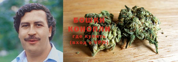 хмурый Богородск