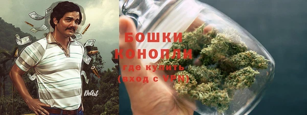 первитин Богородицк