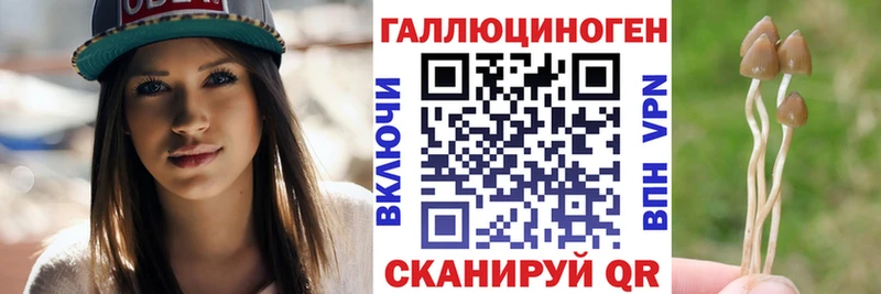 Псилоцибиновые грибы Magic Shrooms  наркота  Кондопога 